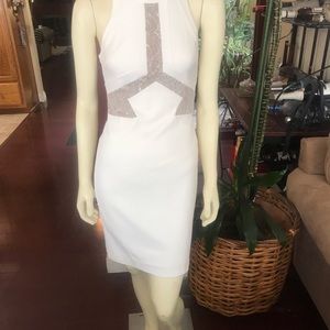 Presented BEBE DRESS